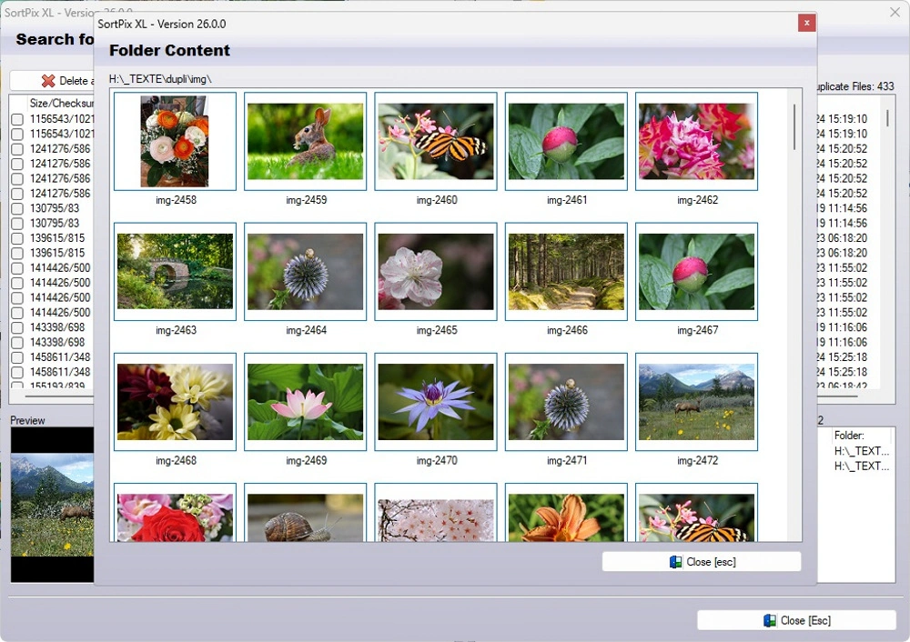 Find Duplicate Photos
