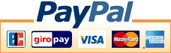 Zahlungsarten mit PayPal