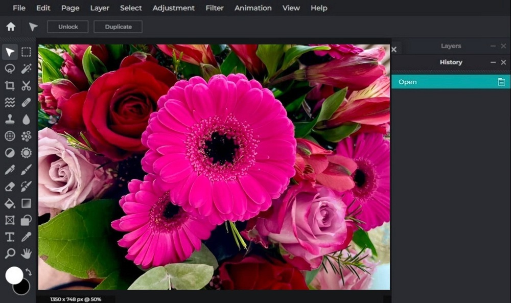 Bildbearbeitungsprogramm Pixlr