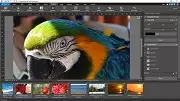 Bildbearbeitungsprogramm PhotoPad
