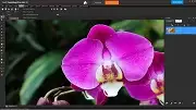 Corel PaintShop Pro Bildbearbeitungsprogramm
