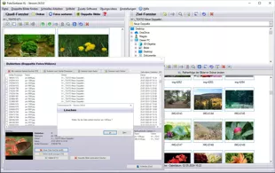 Doppelte Fotos finden Windows 11