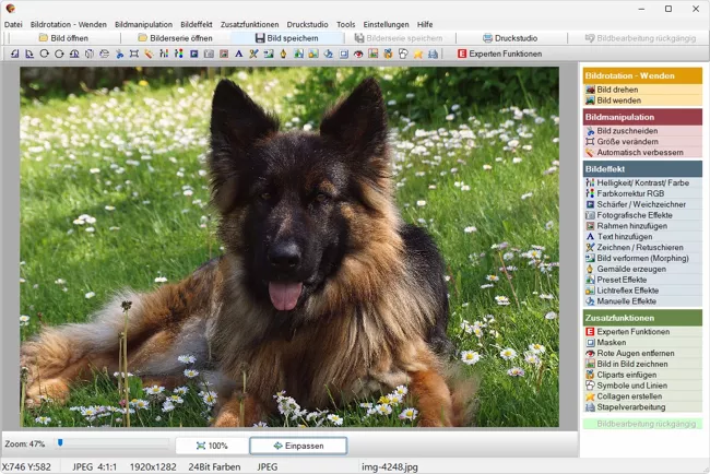 Fotobearbeitungsprogramm auf Windows PC mit geöffneter Bildbearbeitung und Werkzeugen