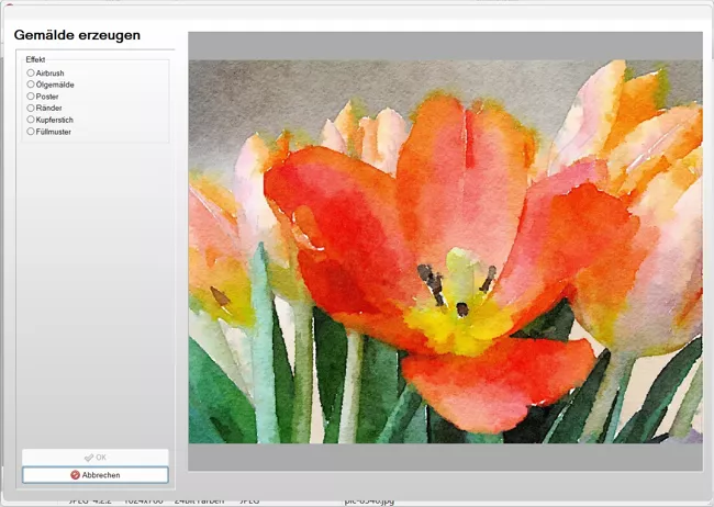 Fotobearbeitungsprogramm für Windows mit Werkzeugleiste für Anfänger und Hobbyfotografen