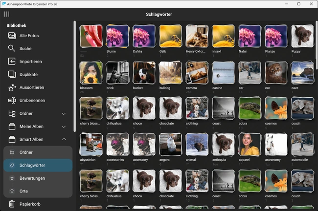 Ashampoo Photo Organizer Pro