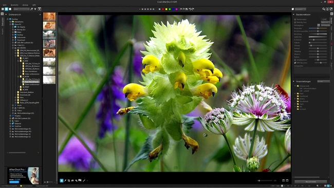 Corel AfterShot Pro 3 für Fotos sortieren