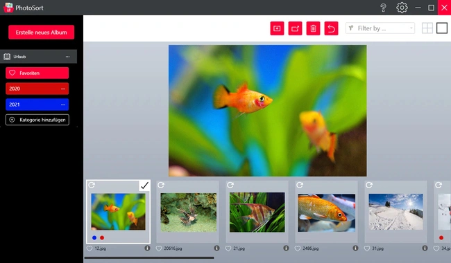 PhotoSort 2024 zum Fotos sortieren