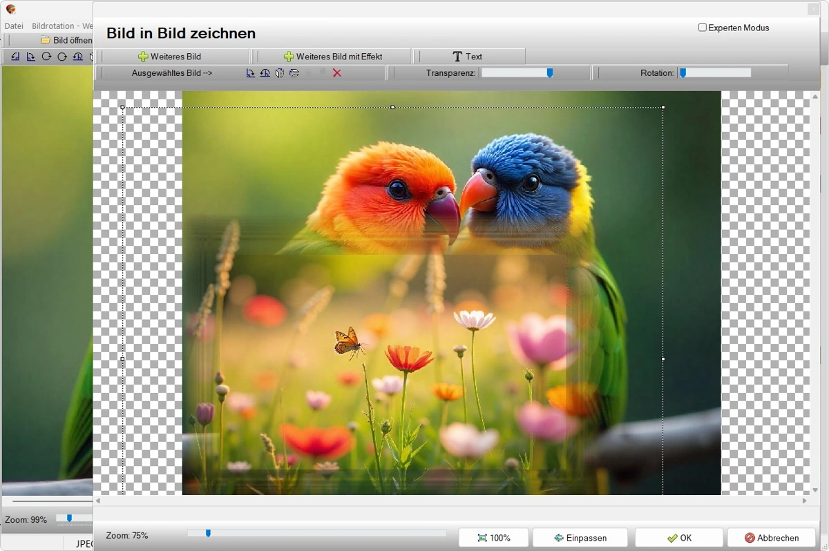 Benutzeroberfläche von FotoWorks XL 2 mit Werkzeugen und Funktionen