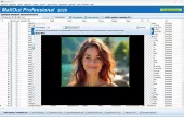 Email Newsletter Software