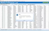 Newsletter Programm MailOut Professional