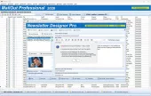 Newsletter Programm